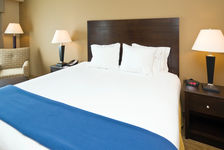 One King Bed Non-Smoking Accessible - Holiday Inn Express Hotel & Suites Ft Myers East- The Forum - 3